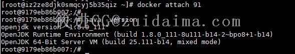 在Docker中安装JDK